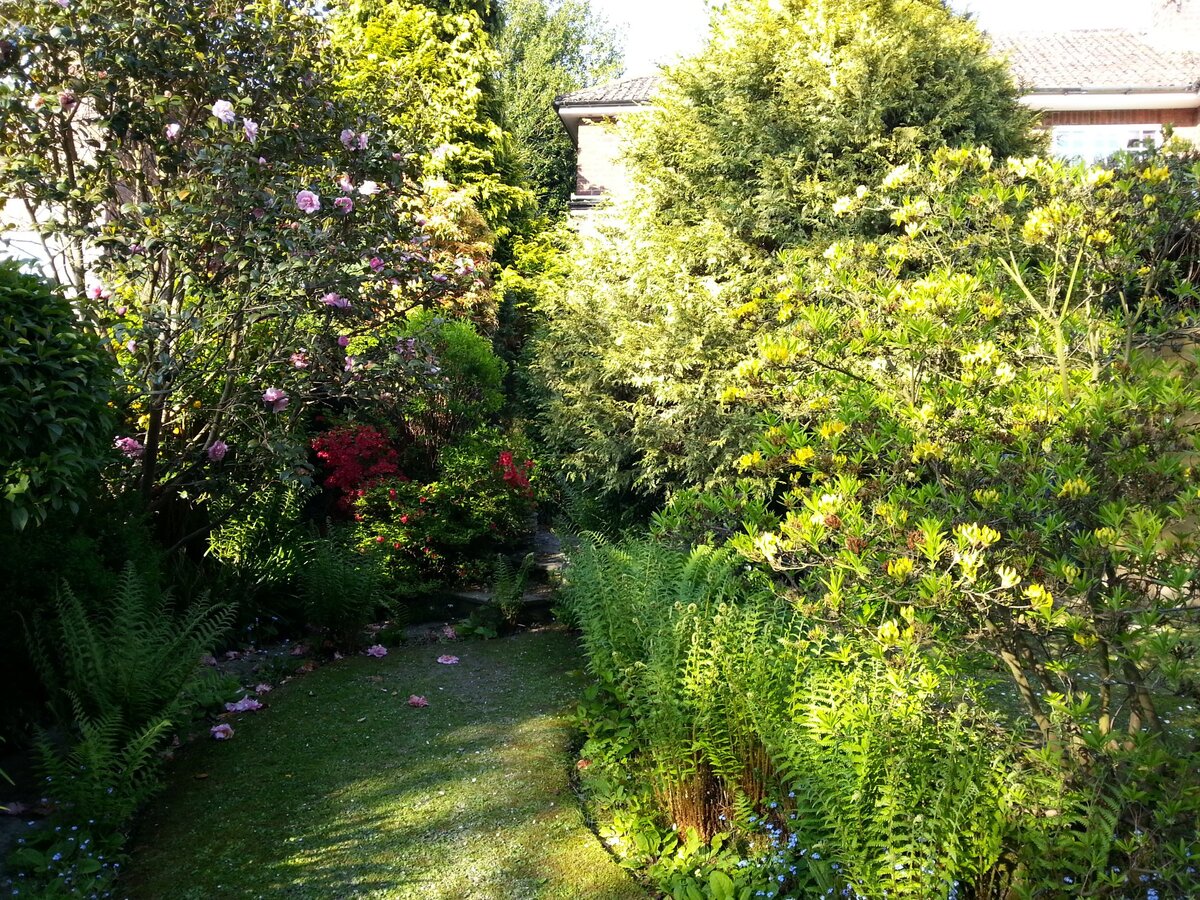 Pearl's rear garden in May 2013